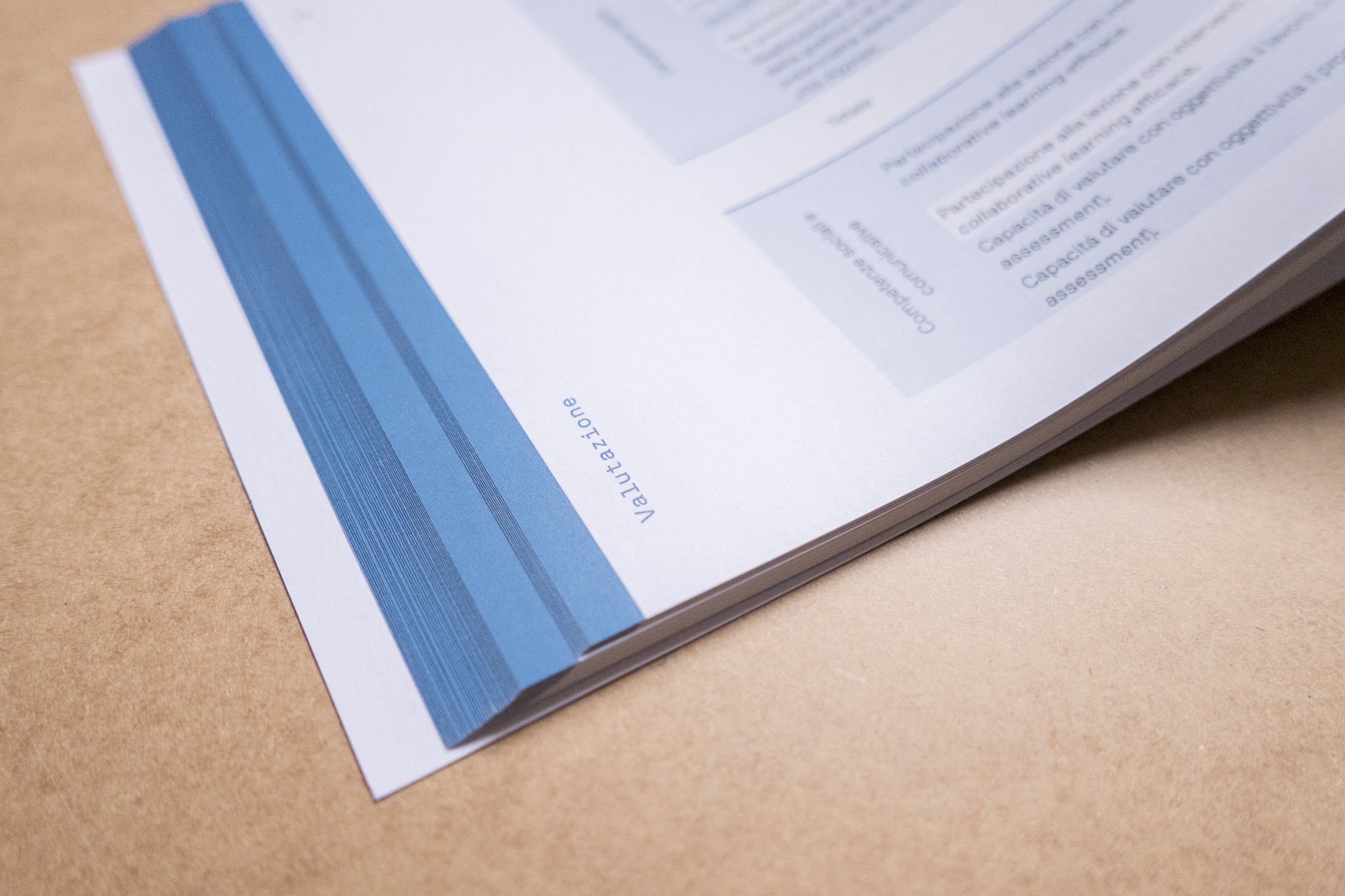 Bachelor’s Degree Thesis